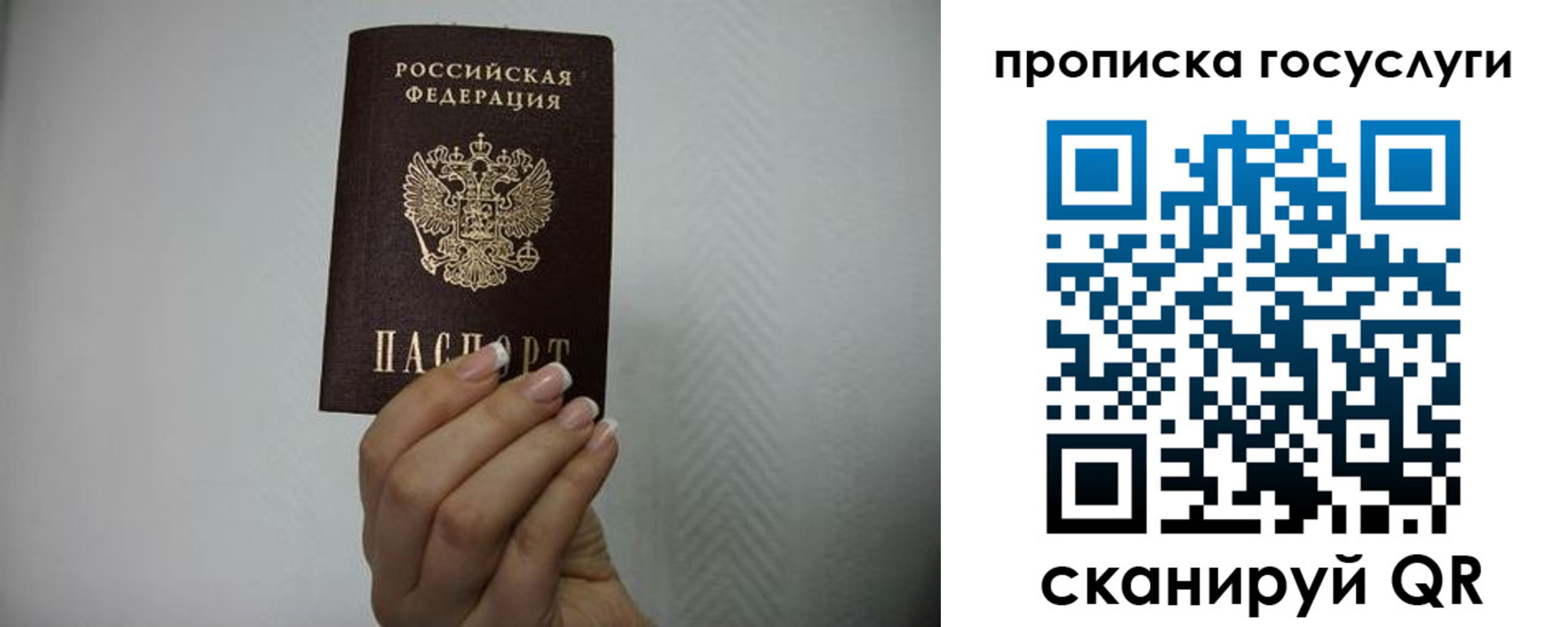прописка поиск в Жуковском